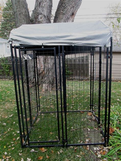 too many to list. . Master paws kennel